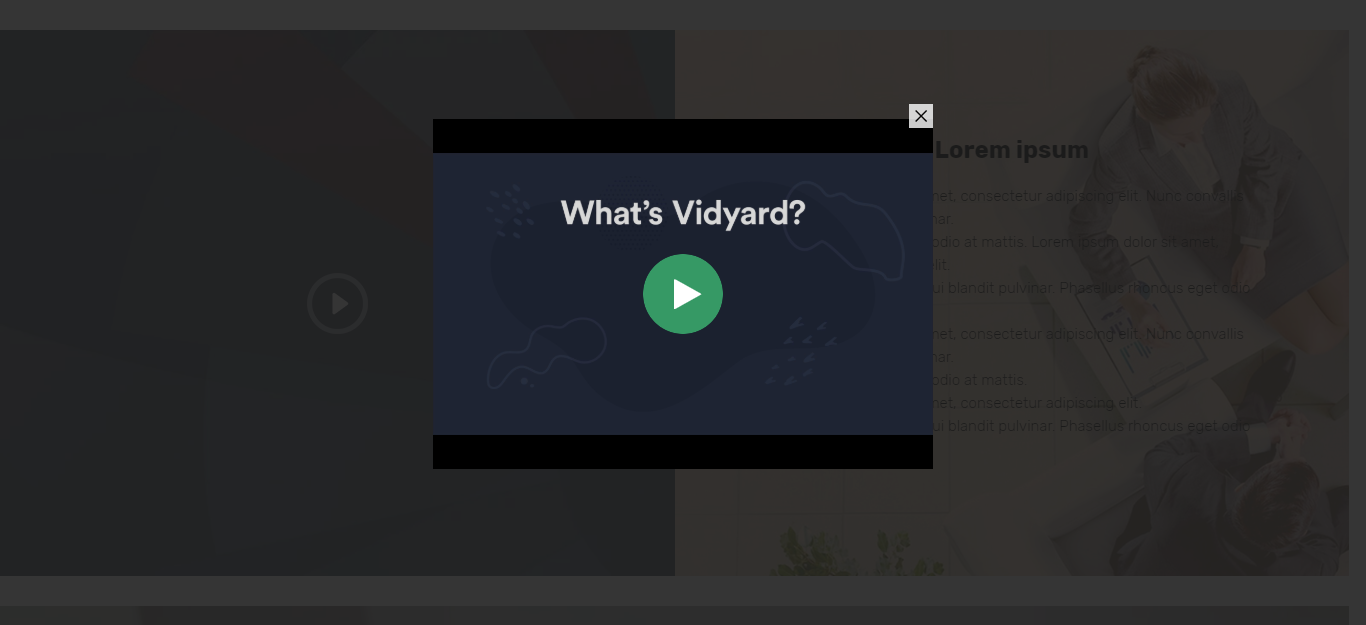 Modularized 2 Column Video Popup with text Module