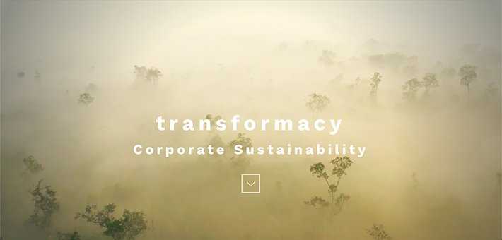 transformacy-image