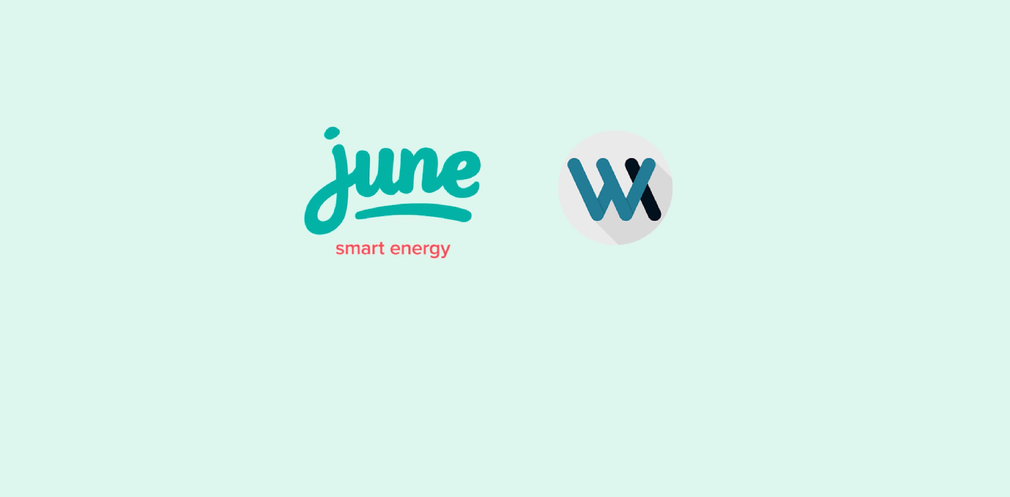 WX to support June Energy as a CMS Development and Consulting Agency