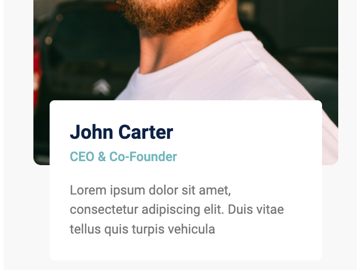 Team Member Profiles